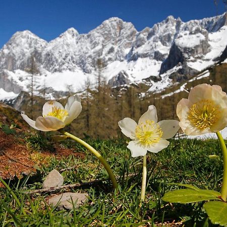 Appartementhaus Finis Ramsau am Dachstein Zewnętrze zdjęcie