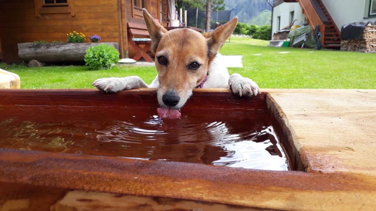 Appartementhaus Finis Ramsau am Dachstein Zewnętrze zdjęcie