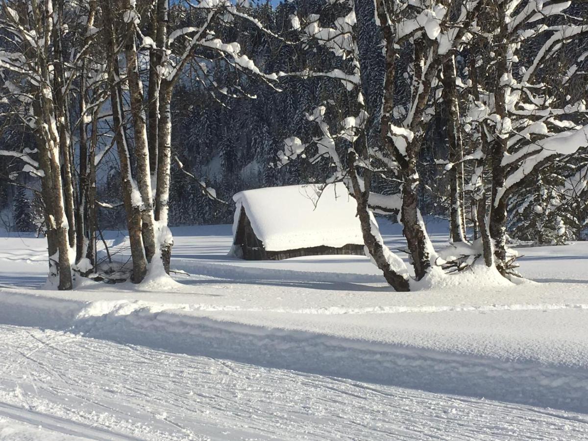 Appartementhaus Finis Ramsau am Dachstein Zewnętrze zdjęcie